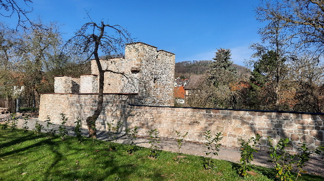 2025Zinsturm2