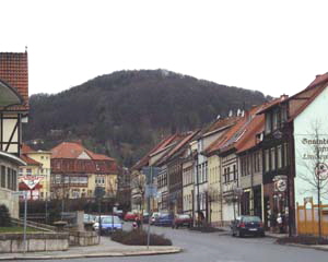 Bleicherder Berge- die Lwenburg