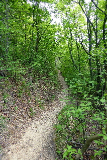 Kantenweg Windoldskopf-Lwenburg